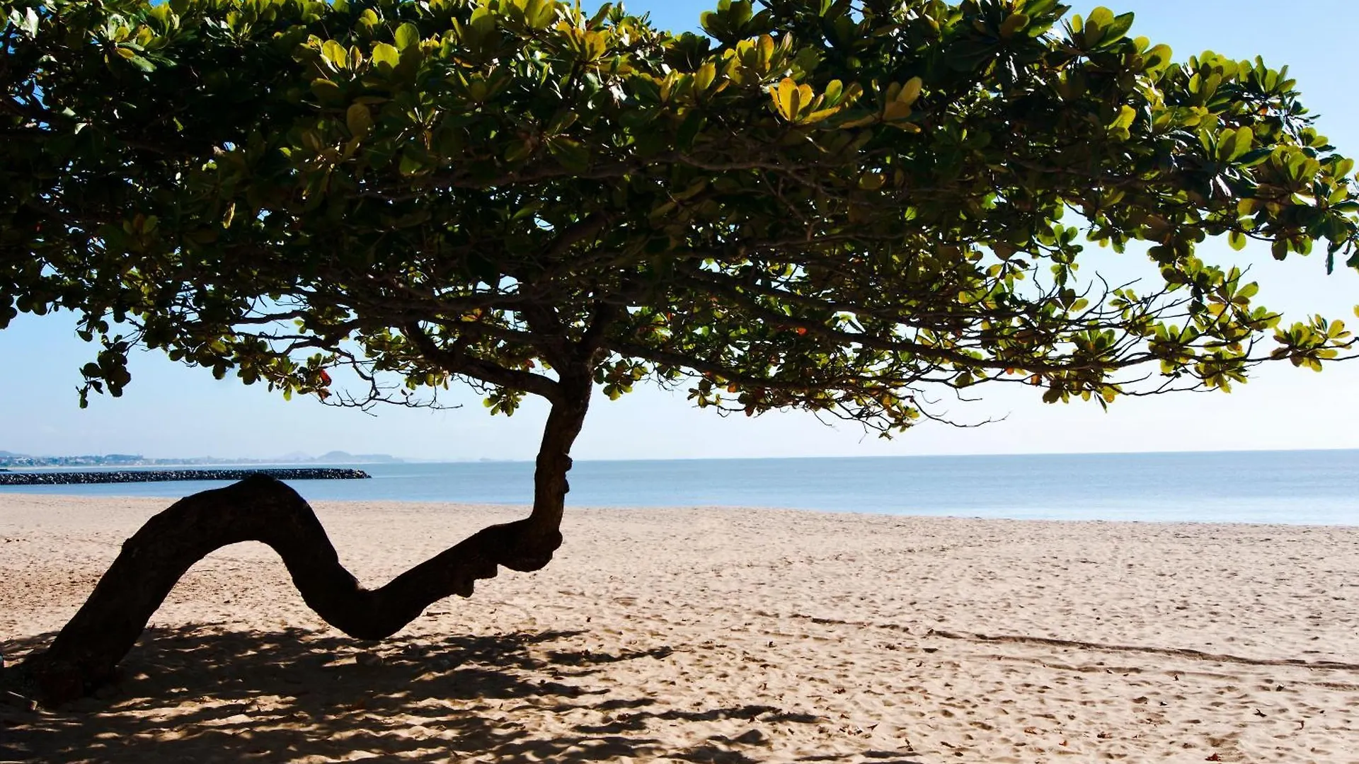 Apto Bal Picarras 150M Praia Com Pisicna, Sacada Com Churrasqueira Privativa, Ar Condicionado Wi Fi, Portaria 24H, Playground Infantil, Quadra De Esportes Vaga Privativa De Garagem
